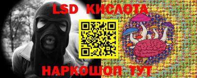 гидропоника Гусь-Хрустальный
