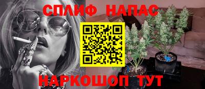 гидропоника Гусь-Хрустальный