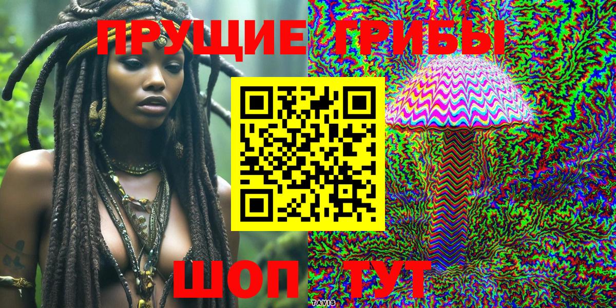 Галлюциногенные грибы Psilocybe  Вход с VPN  Галлюциногенные грибы Magic Shrooms  Кемерово 